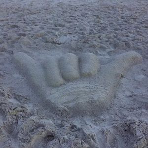 Meet your Posher, Debr